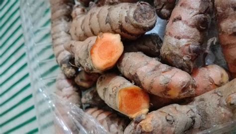 luyang pula|Luyang dilaw: Anu.
